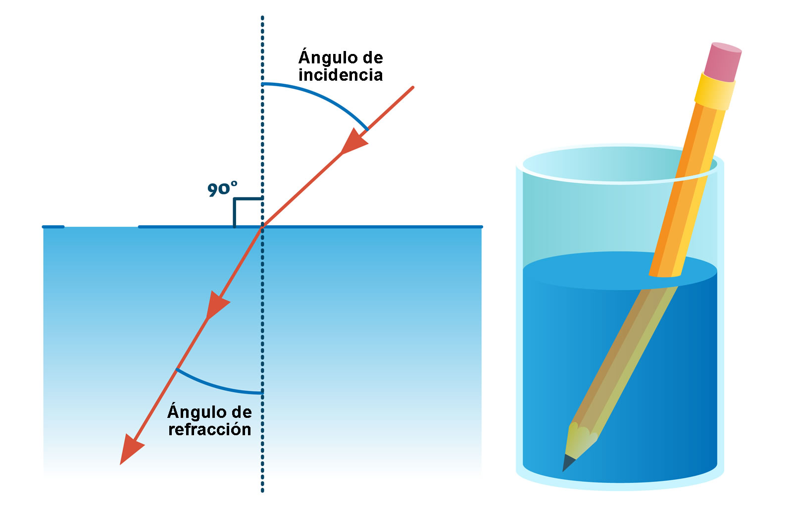 https://significado.com/contenido/ciencia/refraccion.jpg